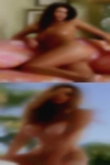 Horny housewives Clifton