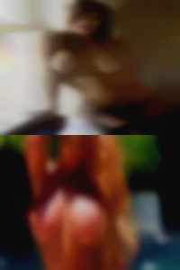 Cougars swingers eat ugly cougars!!!